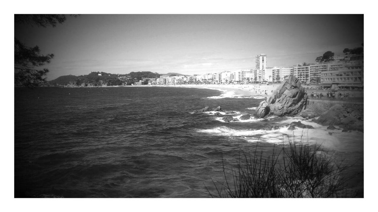 리베이라 Penisqueira 아파트 외부 사진
